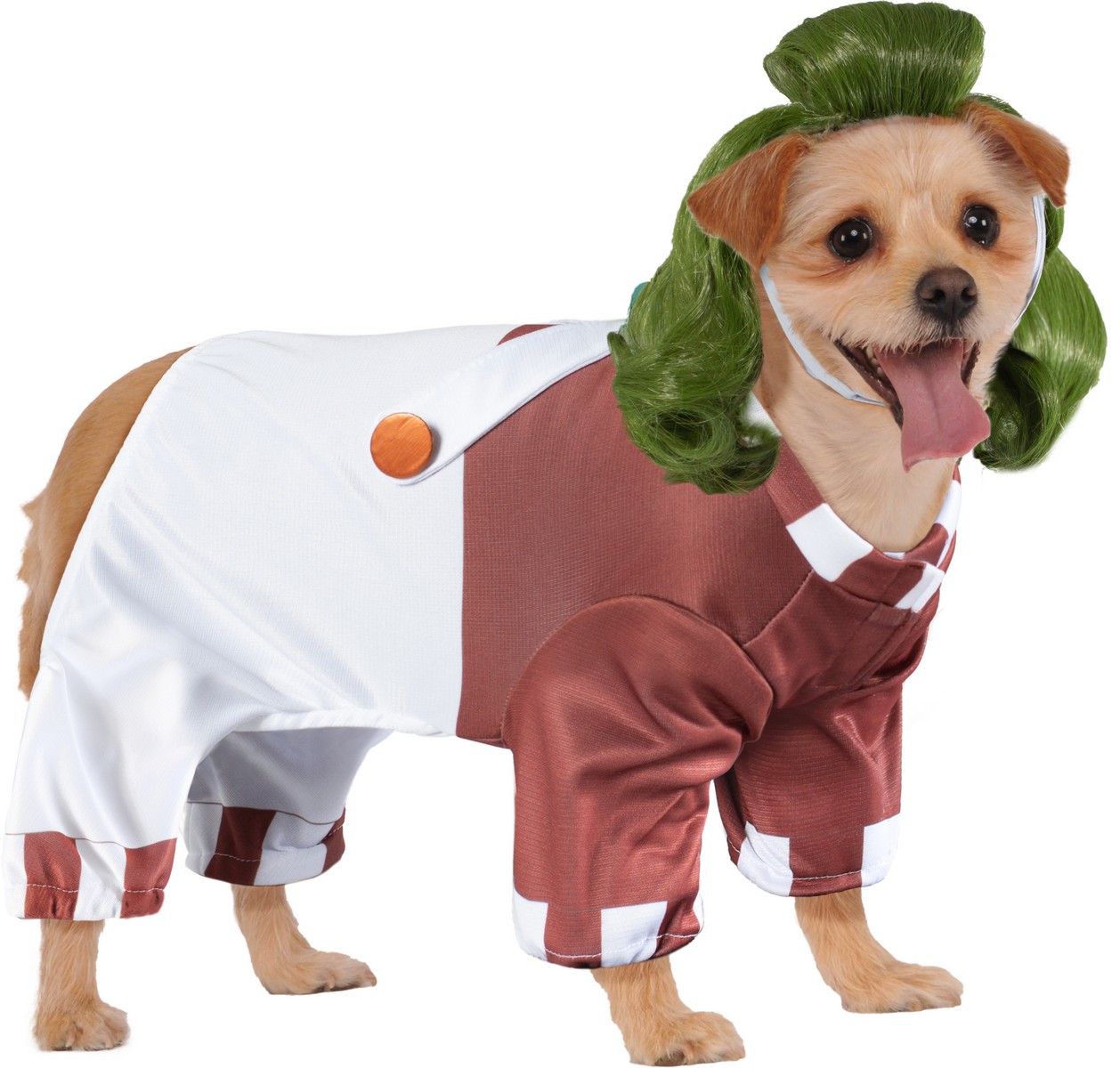 slimer dog costume