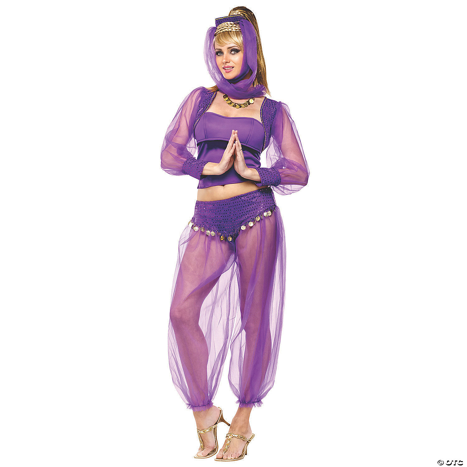Womens Sexy Sheer Purple Genie Costume