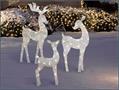 4 Foot Christmas Reindeer Family Flat-tastic Light Up Lawn Decoration