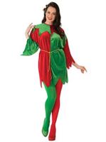 Adult Elf Costume